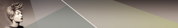 Our Vision - Michel Mercier